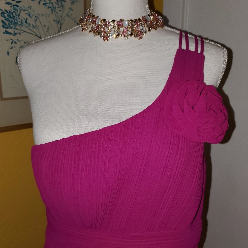 Dollar Fuscia Prom Dress